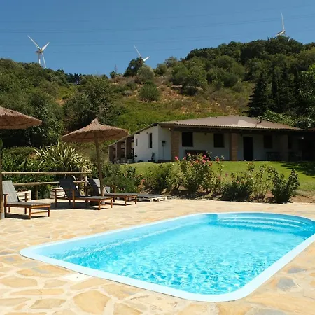 Agroturismo The Wild Olive Andalucía Citrus