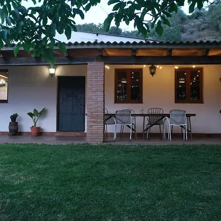 The Wild Olive Andalucía Citrus Agroturismo