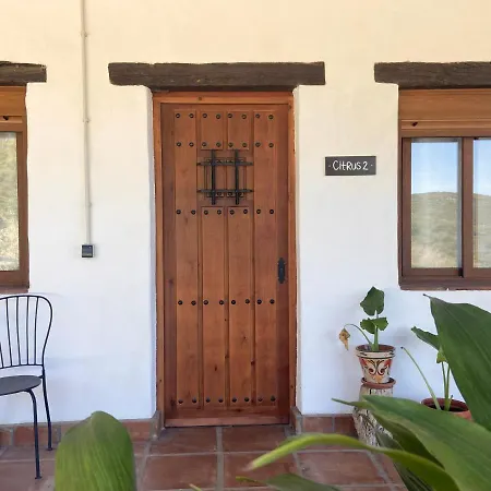 Farm stay The Wild Olive Andalucia Citrus Casares